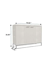 Boyel Living Wooden 2-Door Accent Cabinet with Stainless Steel Leg