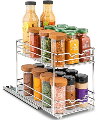 Florida Brands Pull Out Cabinet Organizer for Spices, Cans 2 Tier