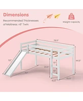 Gouun Twin Size Wooden Loft Bed with Slide and Ladder