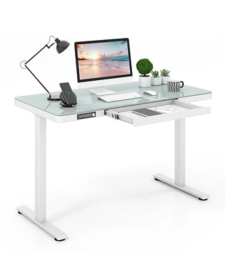 Gouun 48-Inch Height Adjustable Electric Standing Desk with Drawer