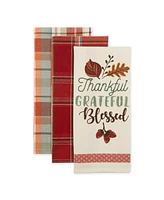 Design Imports Assorted Thankful Grateful Blessed Dishtowel, Set of 3