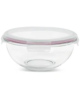Sedona Kitchen 10-Piece Nesting Glass Bowl Set
