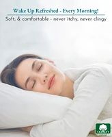 Standard 100% Cotton 500 Thread Count Pillow Cases, Queen and Size, Soft Silky, Cool Smooth by California Design Den