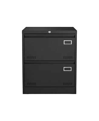 Boyel Living Filing Cabinet Lateral File 2 Drawer with Lock Metal Cabinets Three Office for Legal/Letter/A4/F4