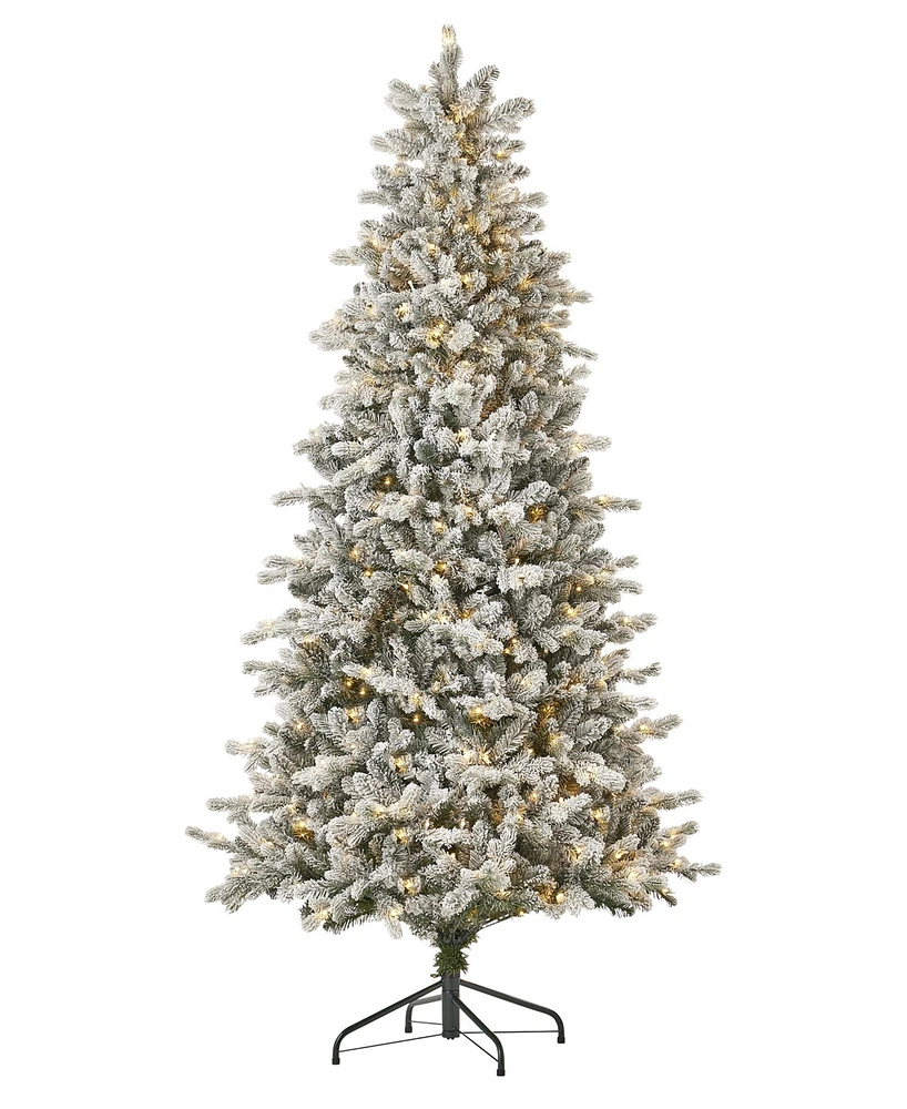 Seasonal 6ft Palmetto Pine Flocked Tree, 350 Dual Led Lights