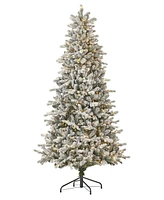 Seasonal 6ft Palmetto Pine Flocked Tree, 350 Dual Led Lights