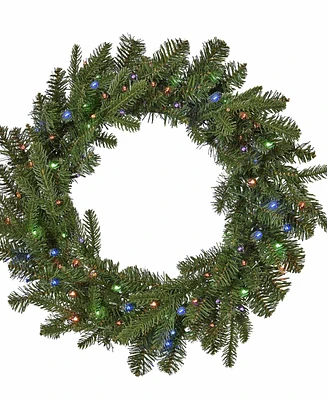 Seasonal 24" Dakota Pine Artificial Christmas Wreath, 50 Dual Led Lights