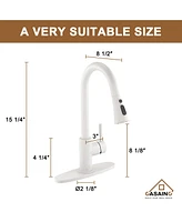 Casainc Pull Down Sprayer Kitchen Faucet with Dual-Function Sprayer and Deck Plate in Spot-Free