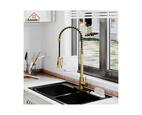 Casainc Spring Pull Down Sprayer Kitchen Faucet with Dual-Function Spray Head and Deck Plate