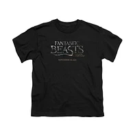 Fantastic Beasts Boys Logo Short Sleeve Tee / T-Shirt