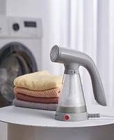 True & Tidy Ts-20 Steam Handheld Garment Steamer with Clear View Tank and Stainless Steel Plate