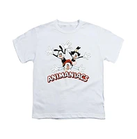 Animaniacs Boys Trio Short Sleeve Juvenile Tee / T-Shirt