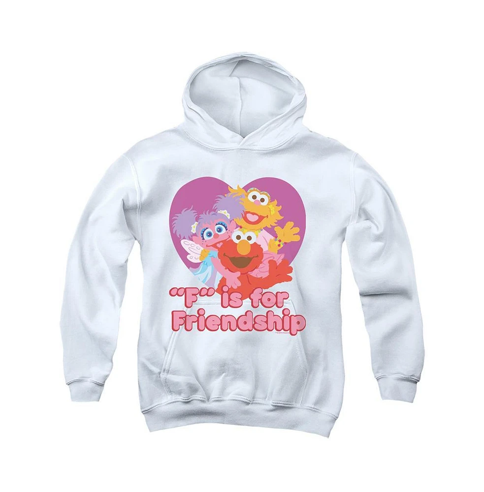 Sesame Street Boys Youth Friendship Pull Over Hoodie