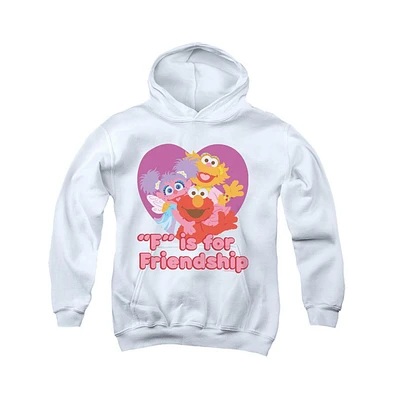 Sesame Street Boys Youth Friendship Pull Over Hoodie