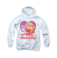 Sesame Street Boys Youth Friendship Pull Over Hoodie