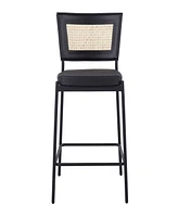 Lumisource 36" Metal and Rattan Tania Contemporary Counter Stool, Set of 2