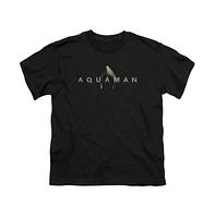 Aquaman Movie Boys Logo Short Sleeve Tee / T-Shirt