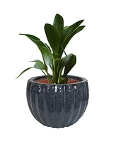 13.5" Fluted Ceramic Plant Pot - Features 1 Drainage Hole - 1.94 Gal Soil Capacity - Black Mist