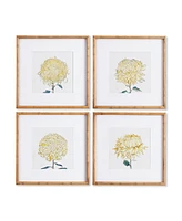 Napa Home & Garden Chrysanthemum Prints, Set Of 4