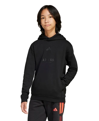 adidas Big Boys Graphic Hoodie