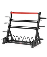 Sunny Health & Fitness All-In-One Weights Storage Rack Stand - Sf-XF920025