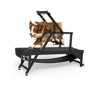 Er Kang Dog Treadmill for Large/Medium Dogs, Doggy Treadmill with Brake and Plastic Track, Dog Slat Mill to Keep Active and Fit, Dog Pacer Treadmill U