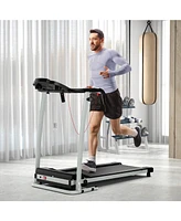 Folding Treadmill with 12 Preset Programs and Lcd Display