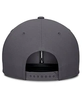 Nike Men's Gray Atlanta Braves Pro Performance Snapback Hat