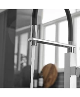 Single-Handle Pull-Down Sprayer 1 Spray High Arc Kitchen Faucet