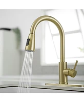 Single Handle Pull-Down Sprayer Spray High Arc Pull Down Sprayer Kitchen Faucet