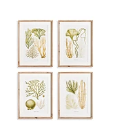 19.75"W x 1"D x 26.75"H Verdant Coral Study Framed Wall Art Set of 4