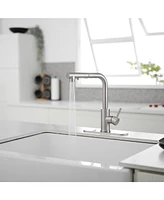 2 Sprayer Single Hole Single-Handle Pull Out Kitchen Faucet 360°Swivel Spout