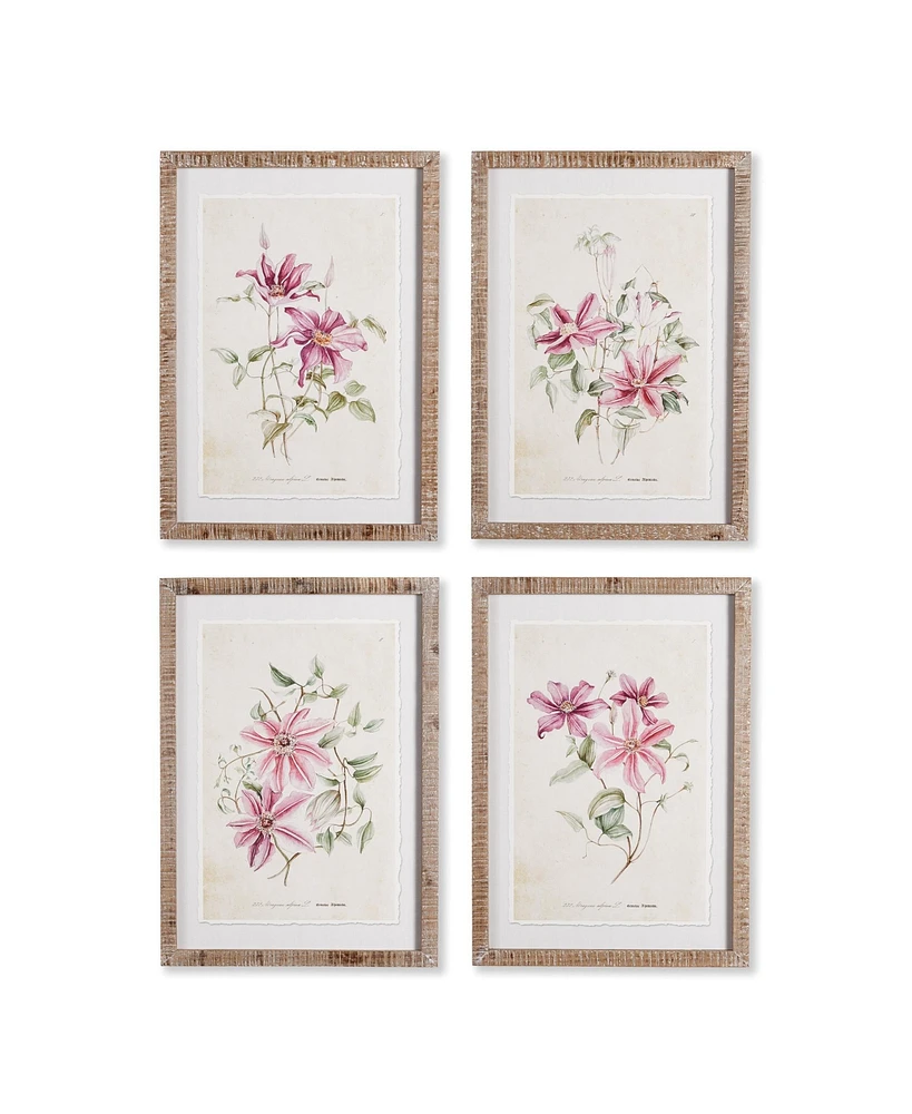 Pink Clematis Prints Set of 4