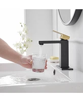 Single Hole Single-Handle Bathroom Faucet