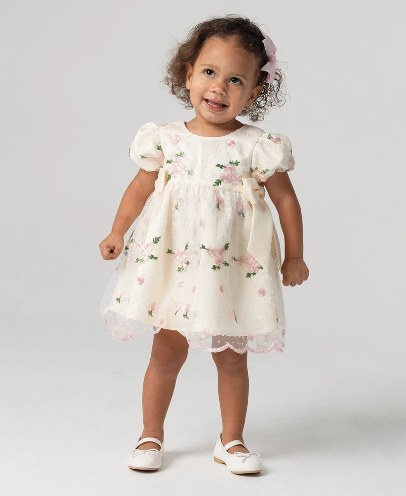 Rare Editions Baby Girls Embroidered Mesh Social Dress