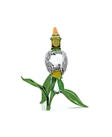 Swarovski Idyllia Toucan Figurine