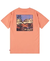 Levi's Toddler & Little Boys Canyon Landscape T-Shirt
