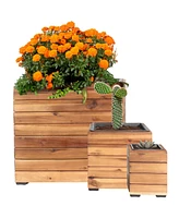 Indoor/Outdoor Wooden Planter Boxes - 3 Acacia Wood Square Plant Pots with Removable Plastic Liners - Anthracite Stain