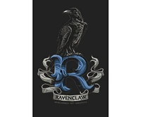 Harry Potter Big & Tall Ravenclaw Raven Black T-shirt-4XL