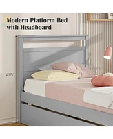 Wooden Bed Frame with 2 Drawers for Teens and Adults