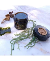 Botanicary No. 10 Restore