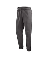 Nike Men's Gray Washington Nationals Authentic Collection Travel Player Performance Pants