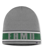 Top of the World Men's Gray Florida A&M Rattlers Jace Knit Beanie