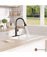 Single Handle Pull-Down Kitchen Faucet with Deck Plate