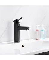 Black Single Handle Bathroom Faucet One Hole Vanity Sink Faucet Bathroom Sink Spout Bathroom Sink Faucets with Supply Lines