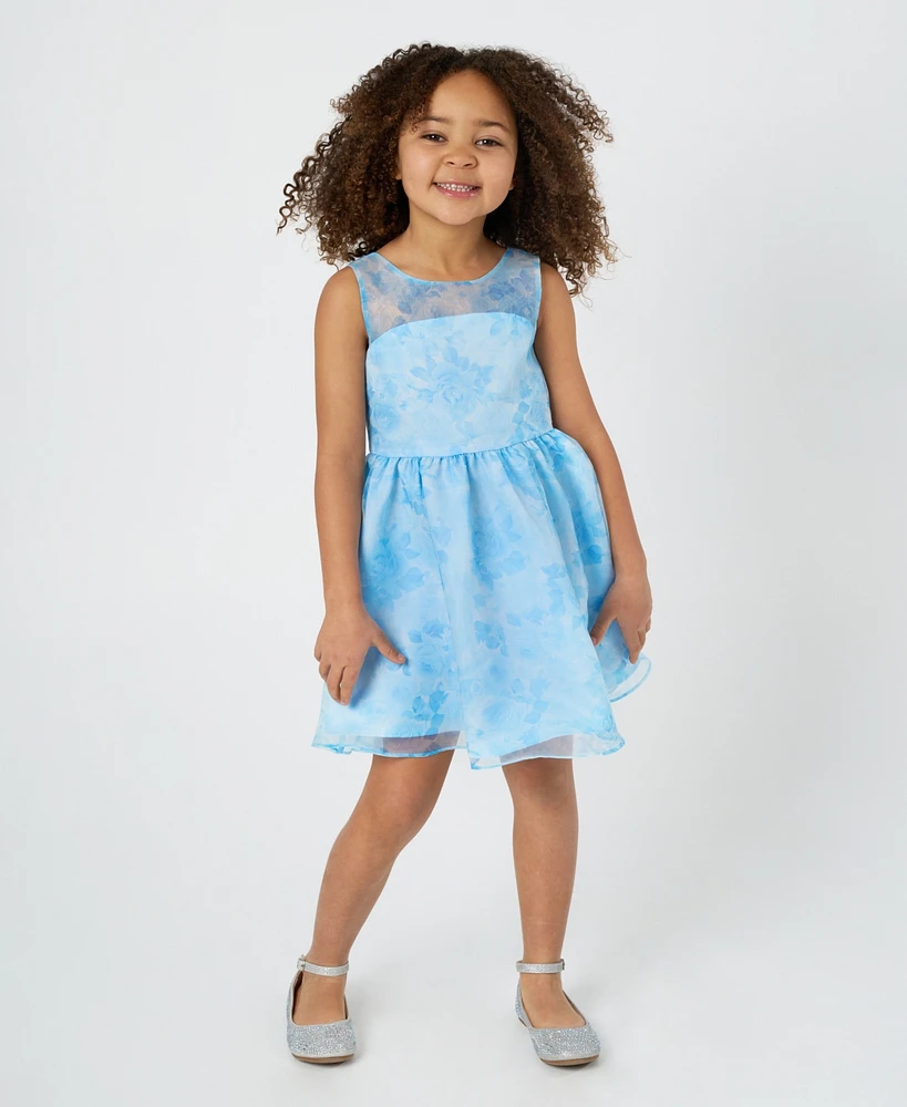 Rare Editions Toddler and Little Girls Floral Organza Social Dress