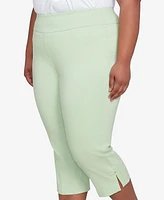 Hearts Of Palm Plus Solid Tech Stretch Pull On Pants