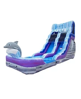 HeroKiddo 16FT Dolphin Inftatable Water Slide with Detachable Pool & Air Blower, Commercial Grade, 100% Pvc Vinyl, Outdoor Backyard, Kids and Adults,