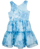 Rare Editions Big Girls Floral Organza Social Dress