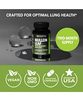 Mullein Leaf Extract Capsules, Lung & Respiratory Health, Daily Respiratory Health Supplement, Lung Support, Havasu Nutrition, 90ct